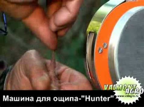 Ощипыватель птицы для охотников - YouTube