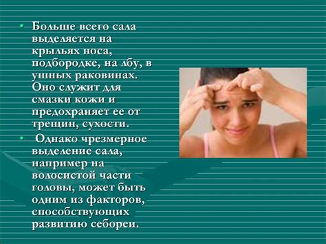 Придатки кожи - презентация онлайн