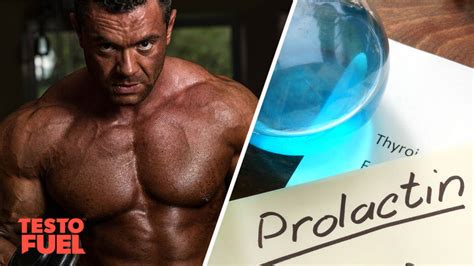 Prolactin and Testosterone Relationship - TestoFuel Blog