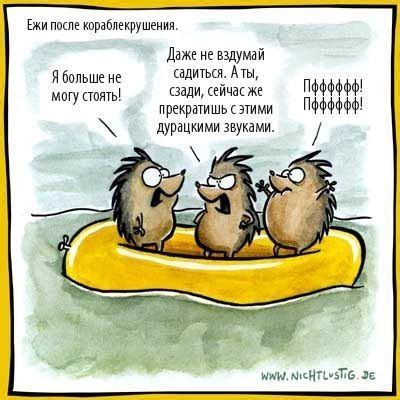 Three hedgehogs in the boat | Disney funny, Funny cartoons, Funny comics