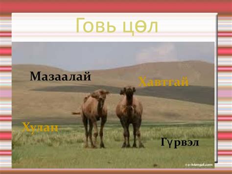 хүн орчин