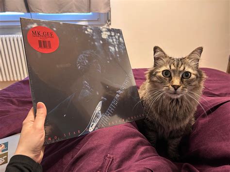 548 best r/mkgee images on Pholder | my oil painting of the two star