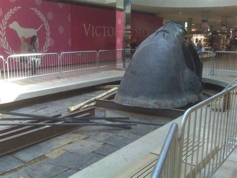 Midnight Ramblings: Whales on the Move