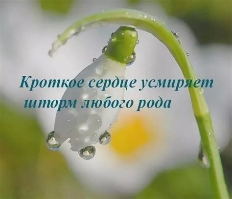 Смирение (Лидия Поберевская) / Стихи.ру