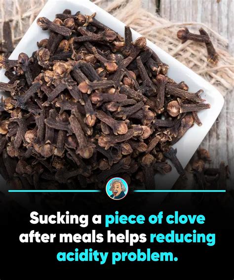 Science | Fact | Knowledge | Sucking or chewing a piece of clove after