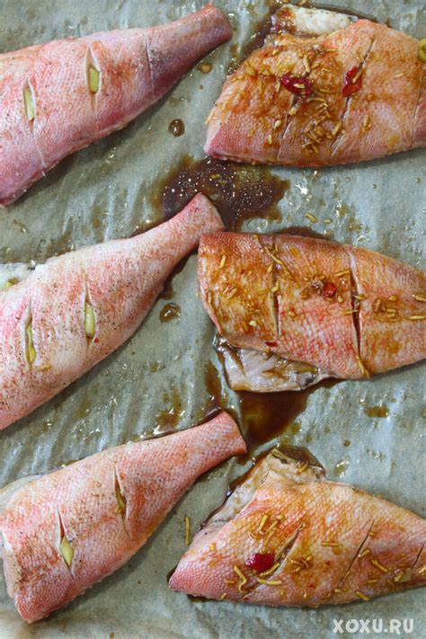 Морской окунь в духовке – как приготовить морского окуня вкусно и просто