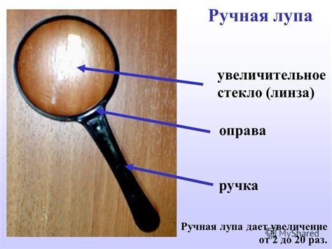 из каких частей состоит ручная лупа? - Школьные Знания.com