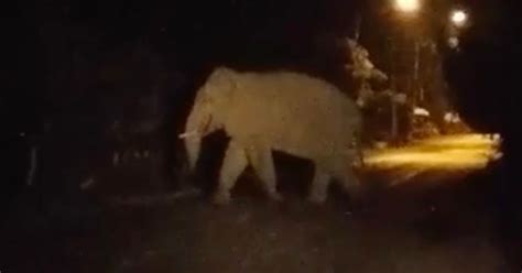 Shocking dash cam footage captures moment truck is written off after ...