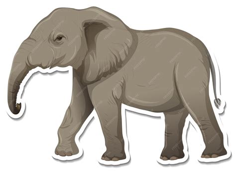 Elephant Clipart Png