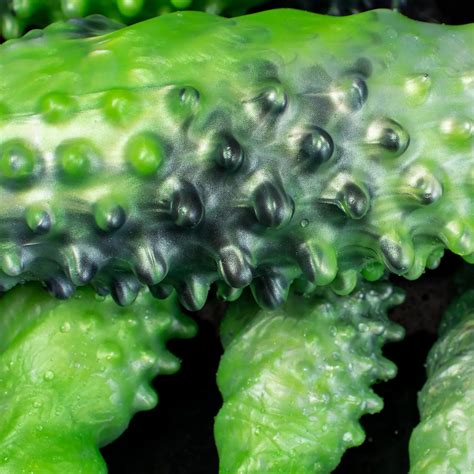 "Abyss" Spiked Dildo | Black Monster Dildo | Platinum Silicone | Oieffur