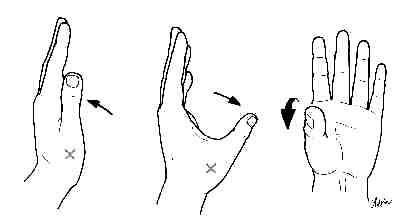 cmc joint   thumb