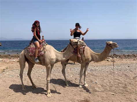 El Khan Sharm Hotel in Sharm El Sheikh: Find Hotel Reviews, Rooms, and ...