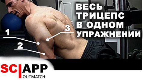 Упражнение На Весь Трицепс - Длинная, Латеральная и Медиальная Головки ...