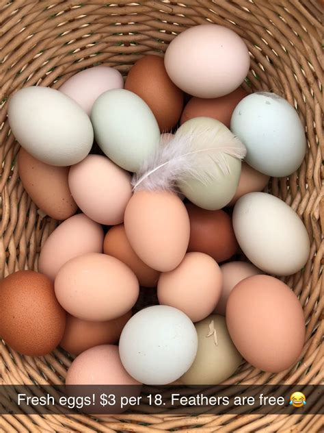 One section of Homestead Raceway offers the best sunset view 21