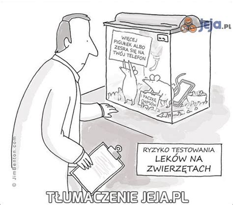 Niebezpieczne testy na zwierzętach - Jeja.pl