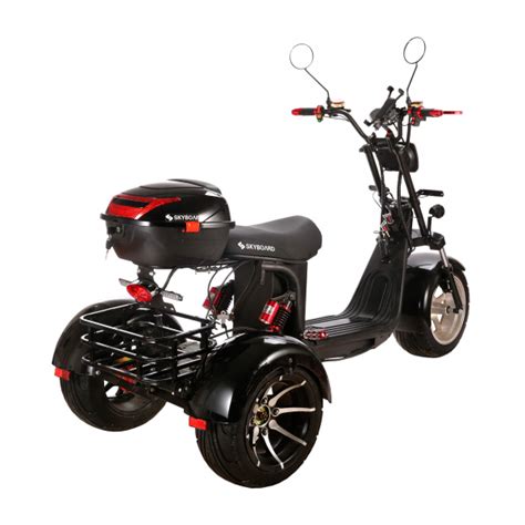 Купить трехколесный электроскутер трицикл SkyBoard CityСoco Trike BR60 ...
