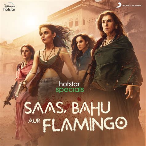 ‎Saas, Bahu Aur Flamingo (Original Series Soundtrack) - Album by Sachin ...