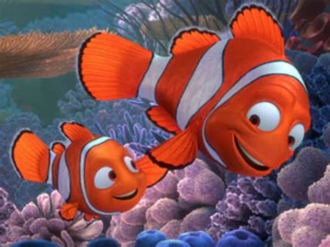 How scientists made Nemo seem crazy | Financial Post