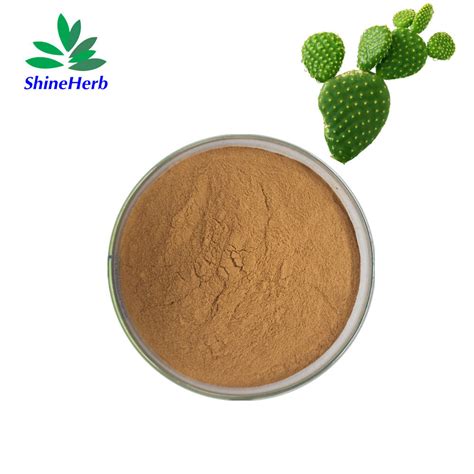 10: 1 Opuntia Ficus Indica Stem Extract Cactus Extract - Cactus Extract ...
