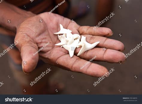 shark teeth hand images stock  vectors shutterstock