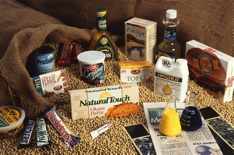 soybean products  stock photo public domain pictures