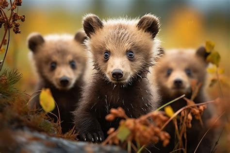 Premium Photo | Grizzly bear mother and cubs