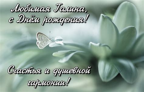 Открытка с бабочкой на белом цветке.