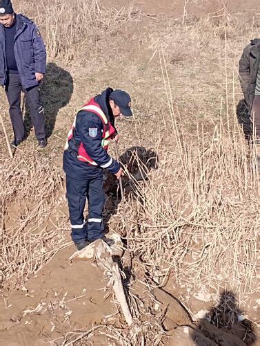 Тело ранее пропавшего мужчины нашли в Алайском районе - | 24.KG