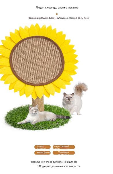 Лазалка для кота подсолнуха когтеточка для кошек - купить с доставкой ...
