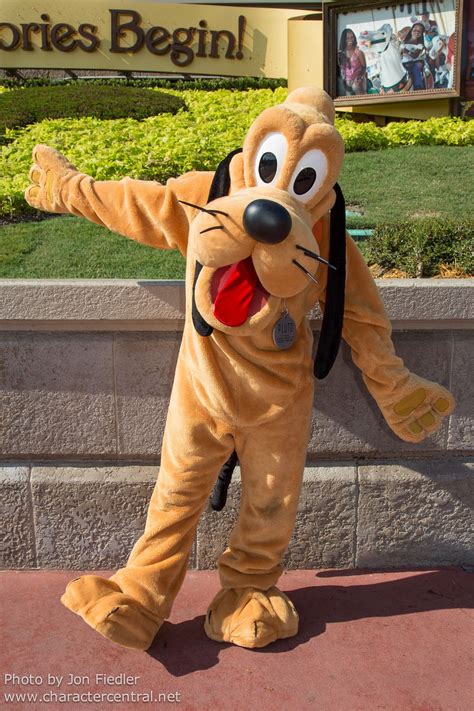 WDW Sept 2012 - Meeting Pluto | Disney world pictures, Disney world