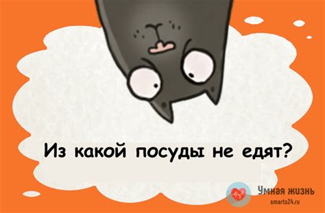 Загадка из какой посуды не едят - Умная жизнь