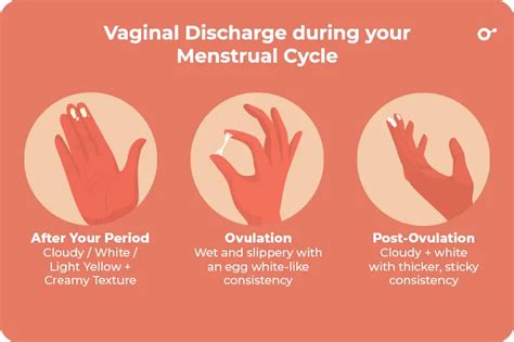 orange discharge   period
