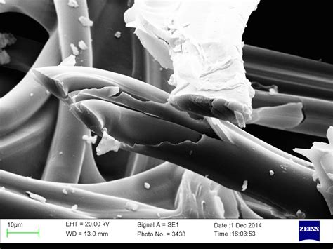 Gabriel Kuhn Crime Scene: The Evidence That Could Set A Killer Free (or Not) Image 1