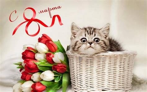 Поздравление с 8 марта бабушке