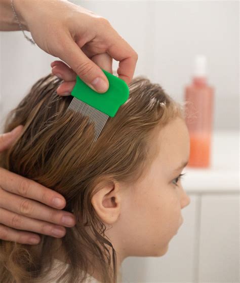 In-Home Lice Treatment Services | Professional Care That Comes to You