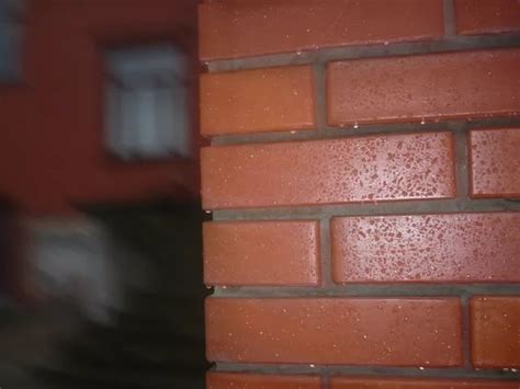 Plytų lakas (30 nuotraukų): karščiui atsparus krosnims, pagamintoms iš ...