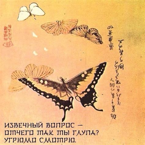 Хайку
