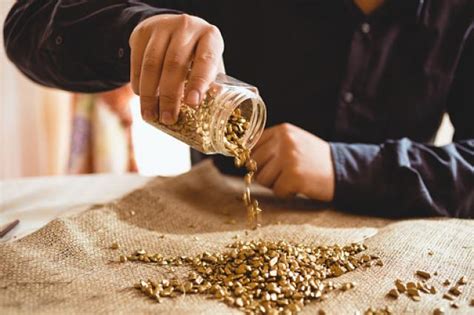 ЗЛАТНА ТРЕСКА во Србија, откриено ново наоѓалиште на злато