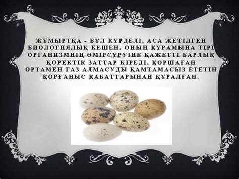 ЖҰМЫРТҚА ЖӘНЕ ЖҰМЫРТҚА ӨНІМДЕРІНІҢ КЛАССИФИКАЦИЯСЫ Т ҰТ ЫНУШЫЛЫҚ