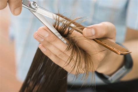 Hair Trimming | Does trimming hair actually help it grow faster dgtl ...