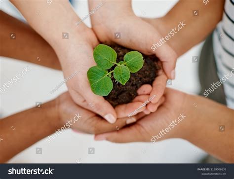 helping   grow  stock photo  shutterstock