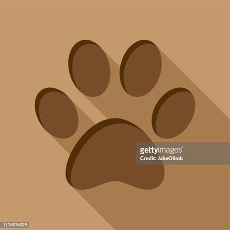 36 Dog Paw Print Mud Stock Photos, High-Res Pictures, and Images - Getty Images