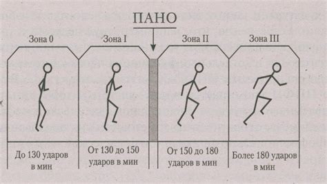 1.5. Физические нагрузки и их дозирование