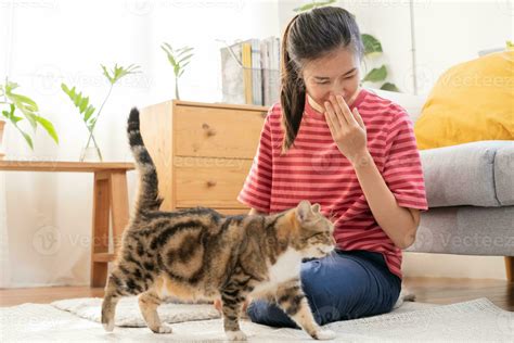 Asian young woman, girl hand in sneezing from fur allergy while playing with her lovely cat, pet