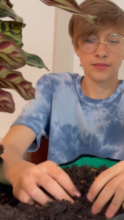 Замешиваю субстрат для Калатеи #nature #plants #цветы #calatea - YouTube