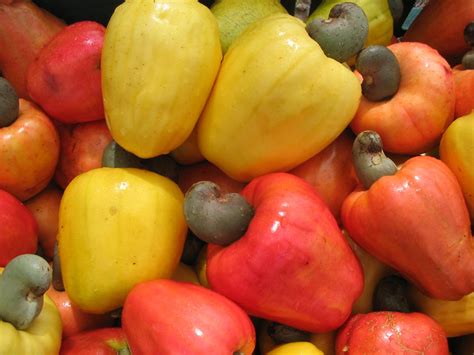 Frutas Tipicas Do Nordeste - NAZAEDU