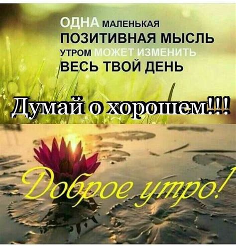 Pin von Наталия Николаева auf Доброе утро! | Guten morgen lustig, Guten ...