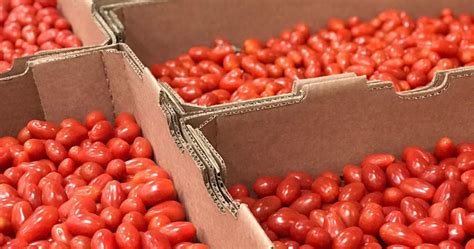 Dispelling Myths About CalFresh - Central California Food Bank