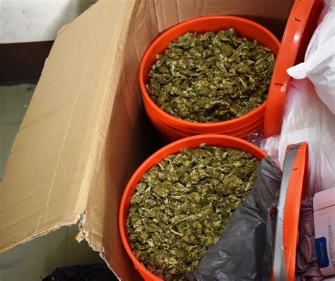 MAJOR CANNABIS SEIZURE AT VC BIRD INTERNATIONAL AIRPORT | ABS TV Radio