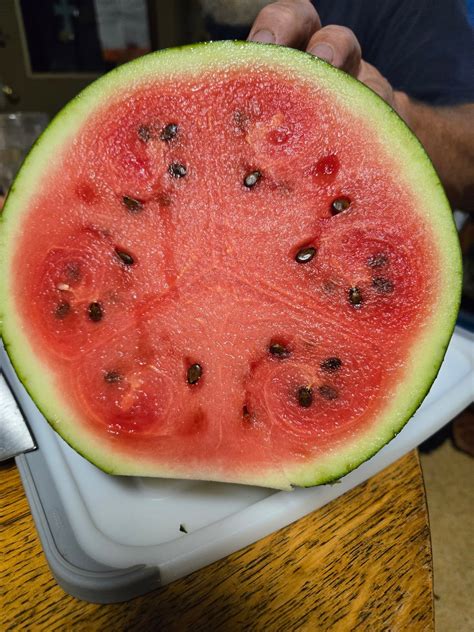 South Lyon Farmers & Artisans Market | South Lyon MI